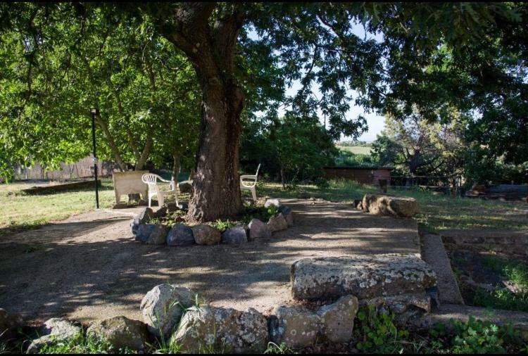 Favoloso Appartamento In Villa Monterosi Zewnętrze zdjęcie