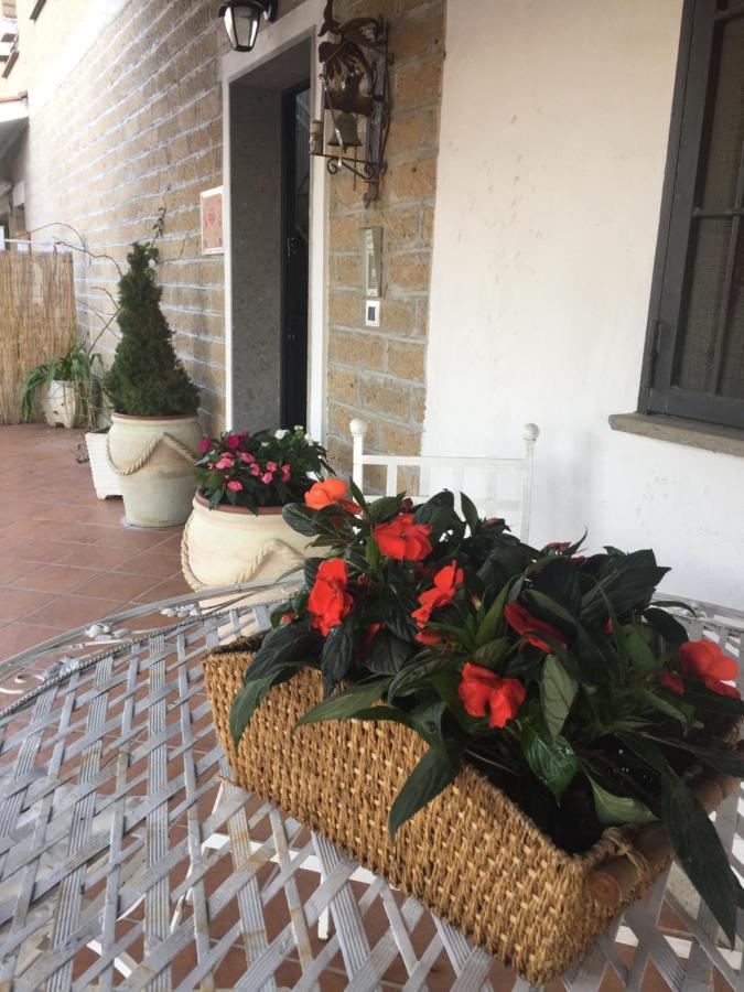 Favoloso Appartamento In Villa Monterosi Zewnętrze zdjęcie