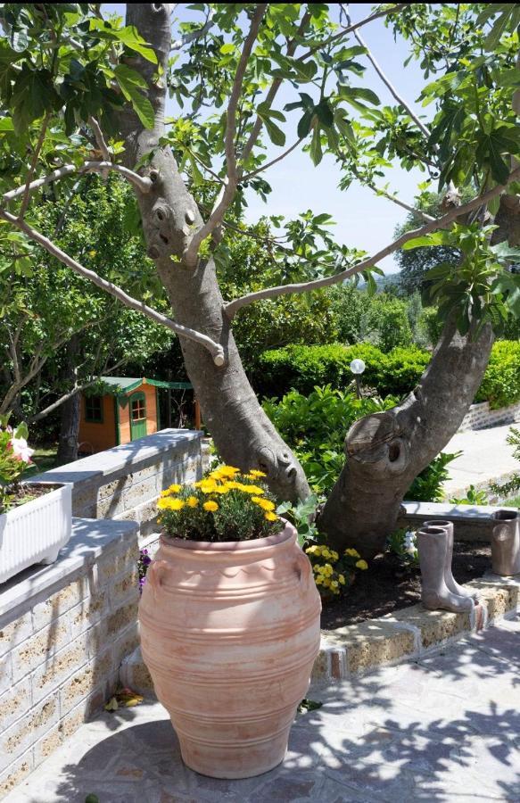 Favoloso Appartamento In Villa Monterosi Zewnętrze zdjęcie