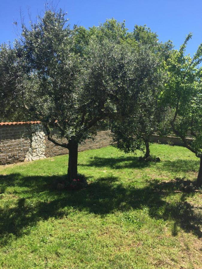 Favoloso Appartamento In Villa Monterosi Zewnętrze zdjęcie